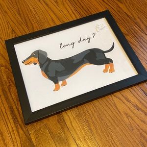 Dachshund photo
